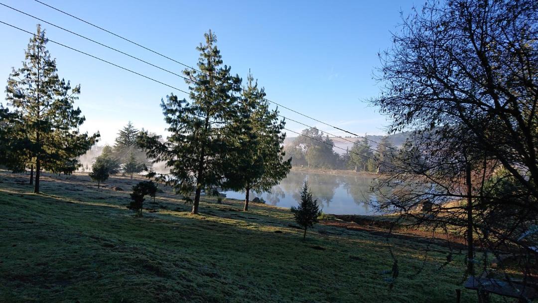 Photo of Others in Tapalpa
