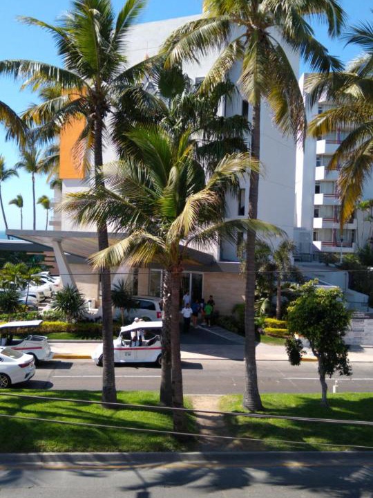 Photo of Others in Zona Dorada