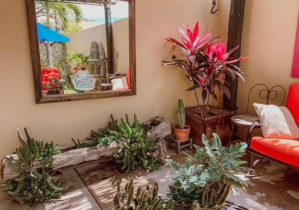 Photo of Livingroom in Palmilla