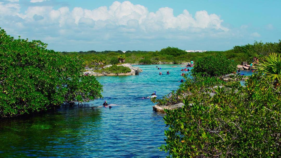 Photo of Outdoor in Akumal