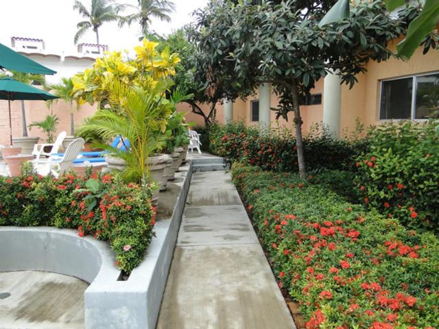 Photo of Others in Rincon de Guayabitos