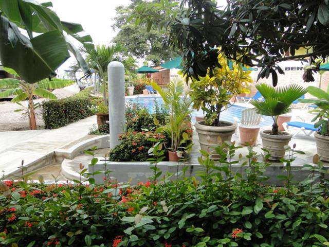 Photo of Others in Rincon de Guayabitos