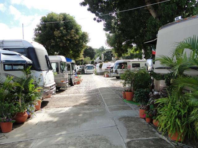 Photo of Others in Rincon de Guayabitos