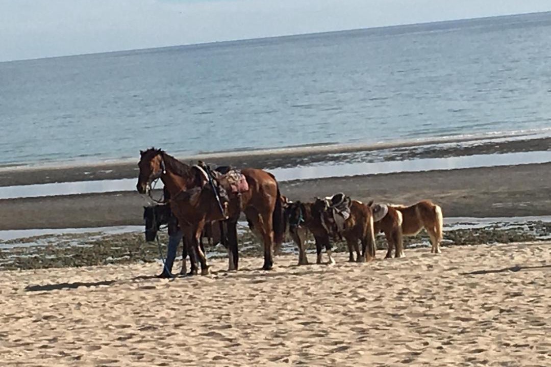 Photo of Others in Penasco