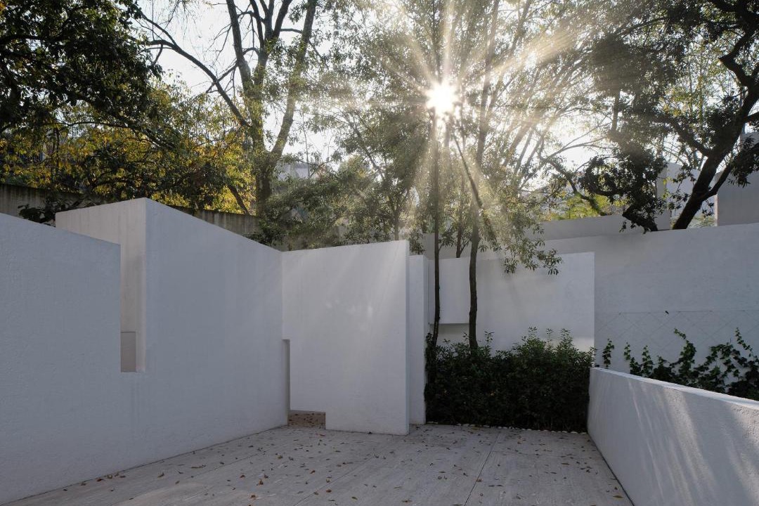 Photo of Others in Bosques de las Lomas