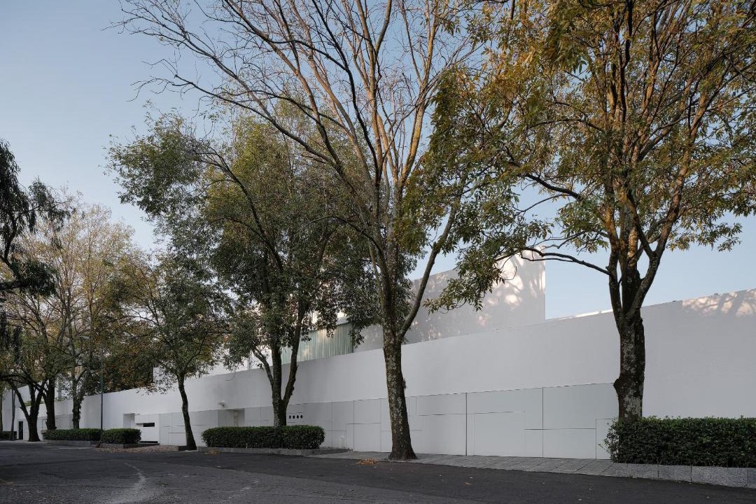 Photo of Others in Bosques de las Lomas