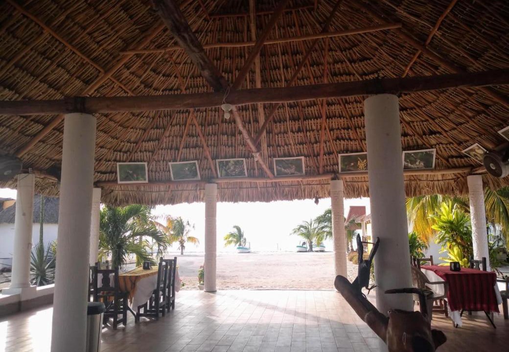 Photo of Others in Isla Arena