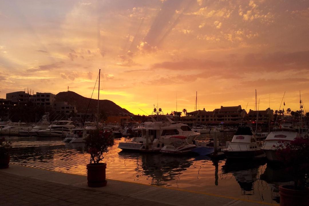Photo of Others in Marina