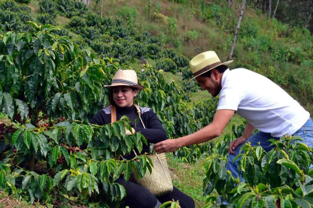 Photo of Human In Picture in Huauchinango
