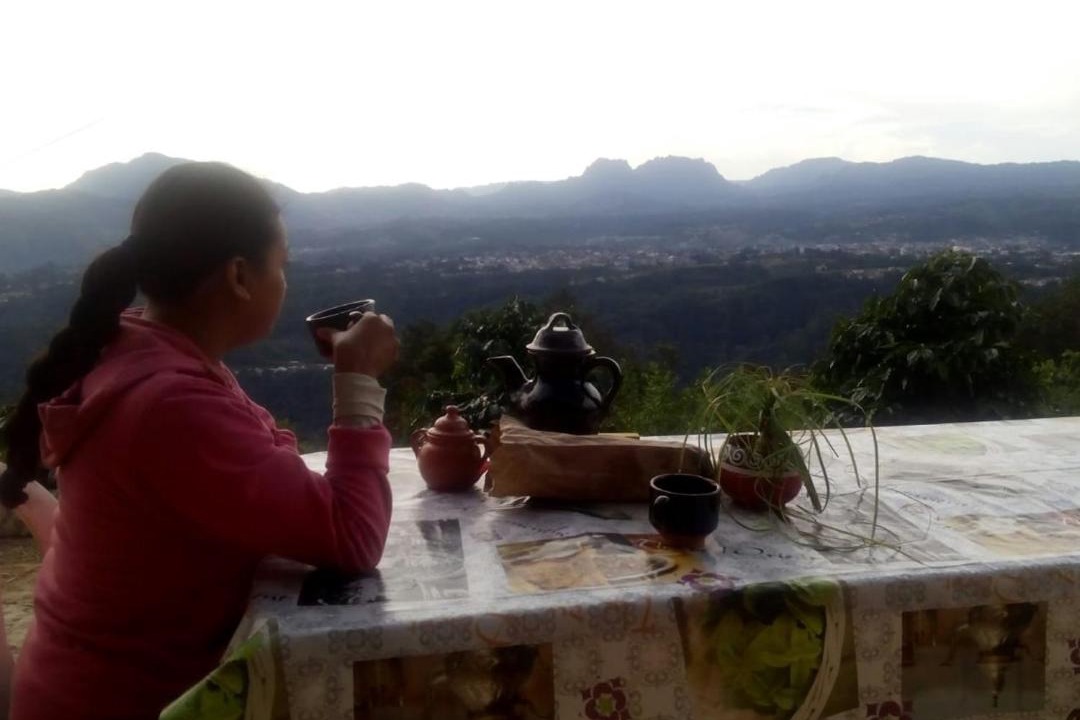 Photo of Human In Picture in Huauchinango