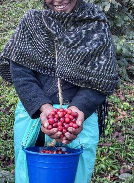 Photo of Others in Huauchinango