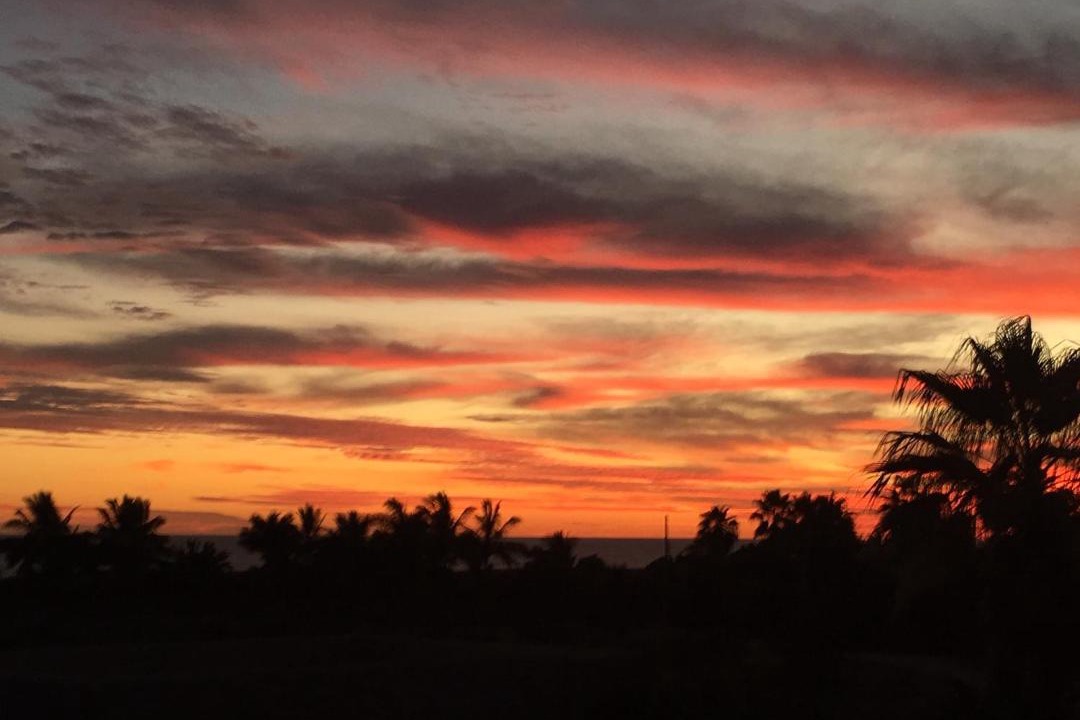 Photo of Others in Todos Santos