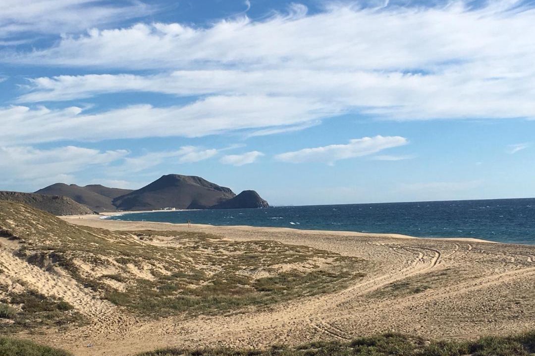 Photo of Others in Todos Santos