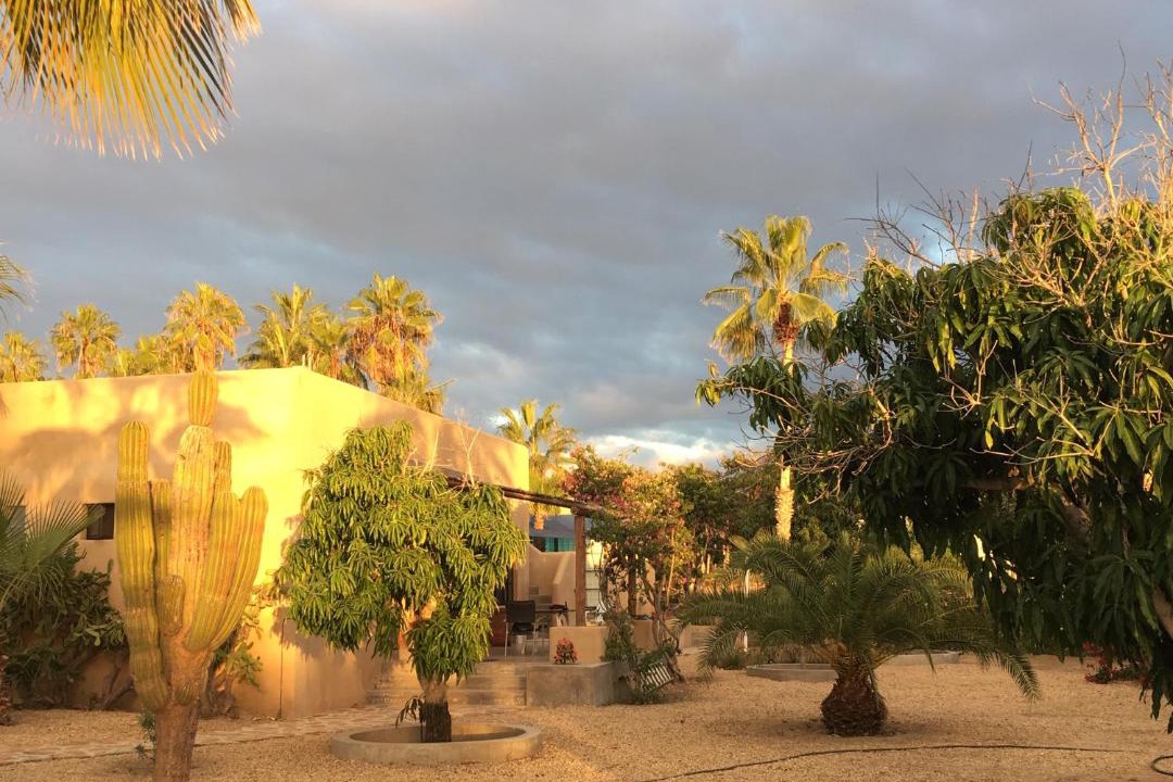 Photo of Others in Todos Santos