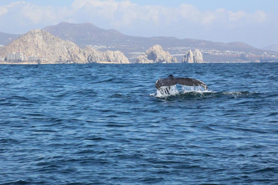 Photo of Outdoor in El Tezal