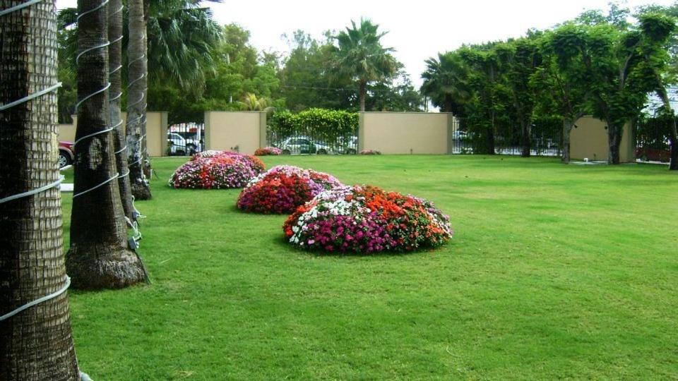 Photo of Others in Los Mochis