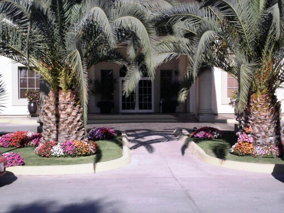 Photo of Others in Los Mochis