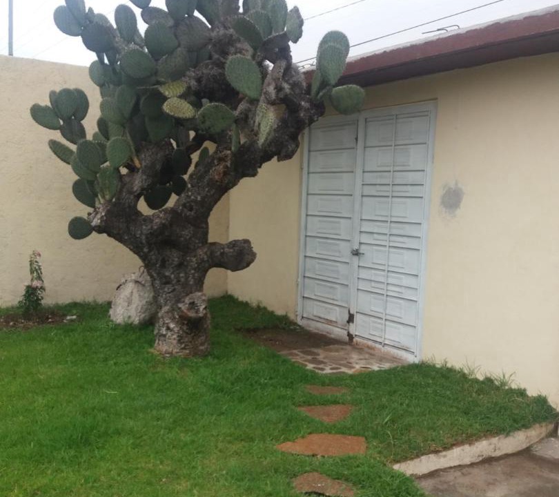 Photo of Buildings in Mineral de Pozos