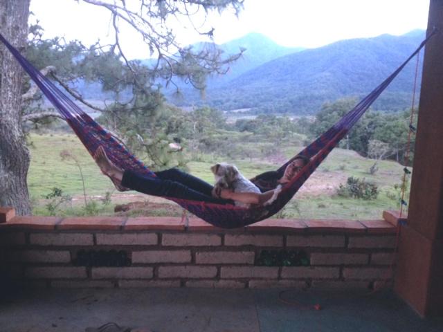 Photo of Others in Mascota