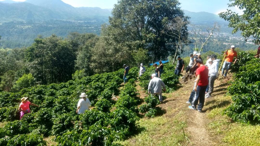 Photo of Others in Huauchinango