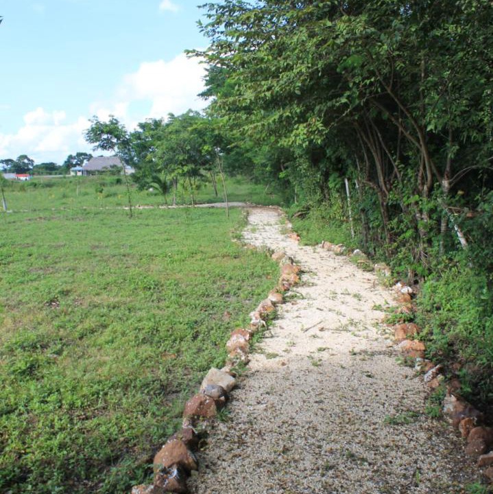 Photo of Others in Escarcega