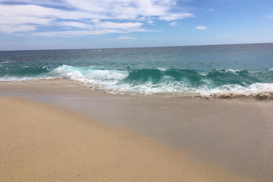 Photo of Others in San Jose del Cabo