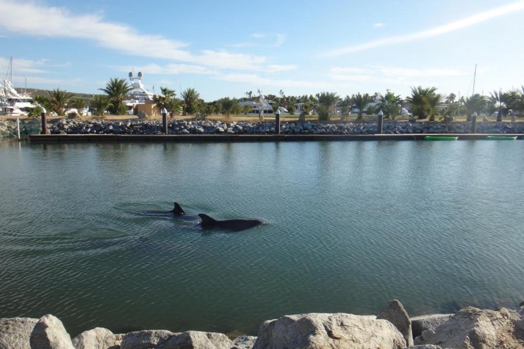 Photo of Others in San Jose del Cabo