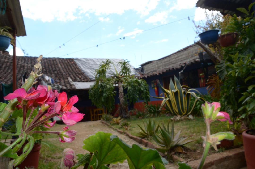 Photo of Others in De Guadalupe