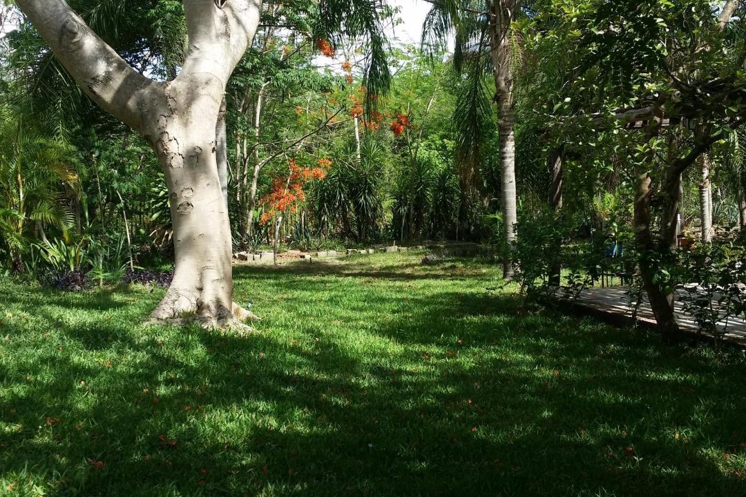 Photo of Outdoor in Chichen Itza - Valladolid