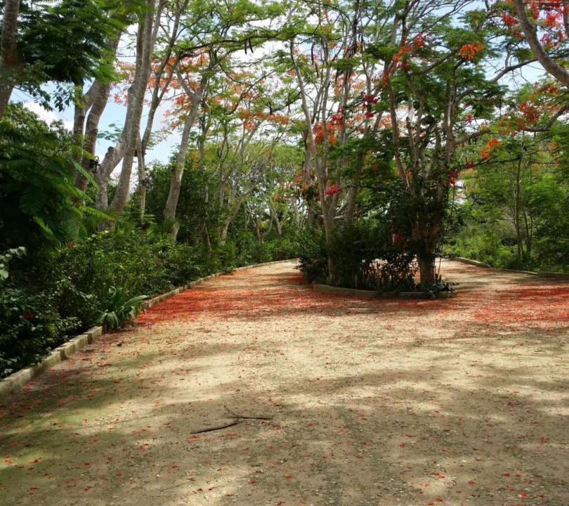 Photo of Outdoor in Chichen Itza - Valladolid