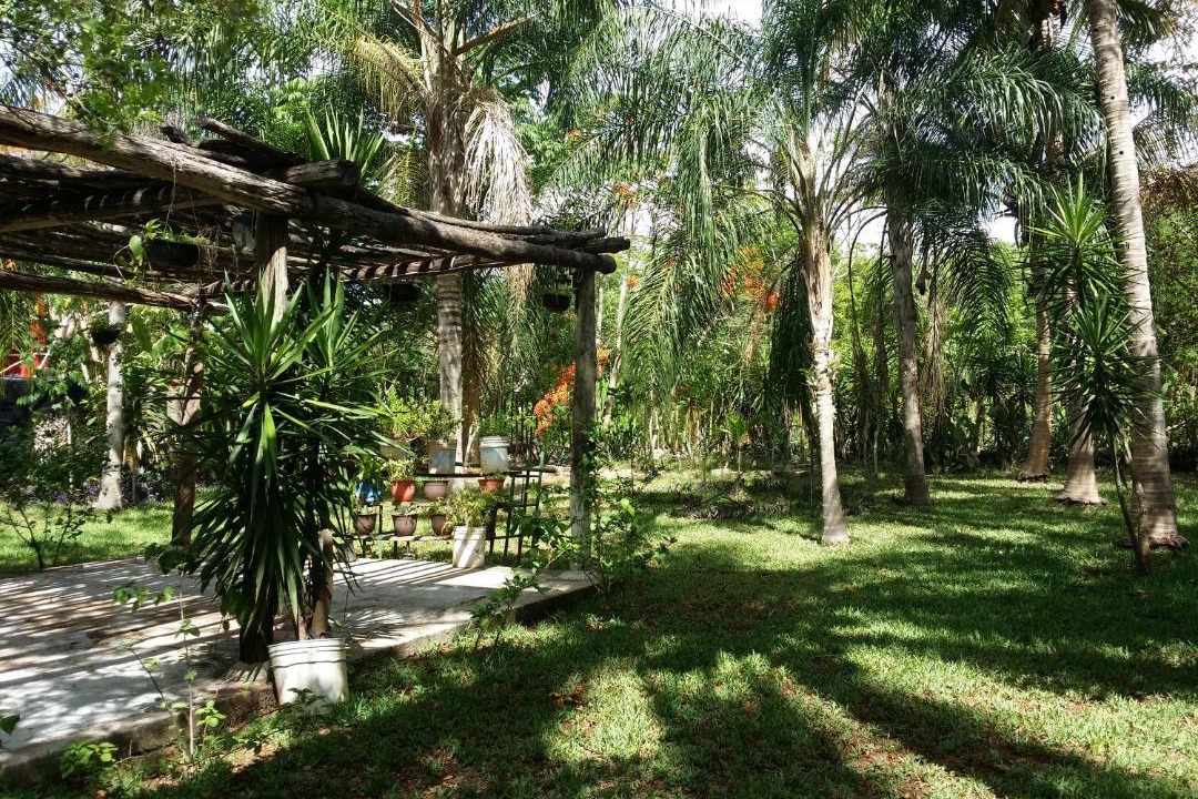 Photo of Outdoor in Chichen Itza - Valladolid