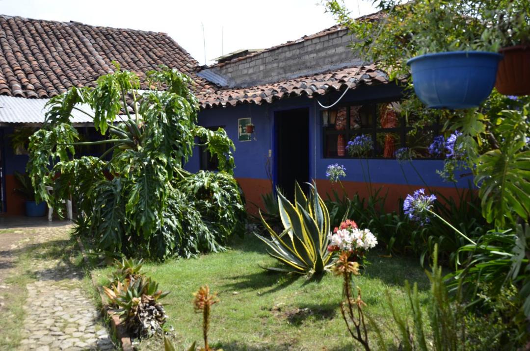 Photo of Buildings in De Guadalupe