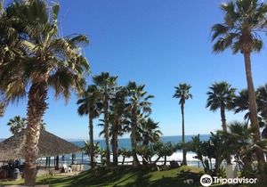Las Rocas Resort and Spa