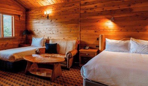 Twin Suite