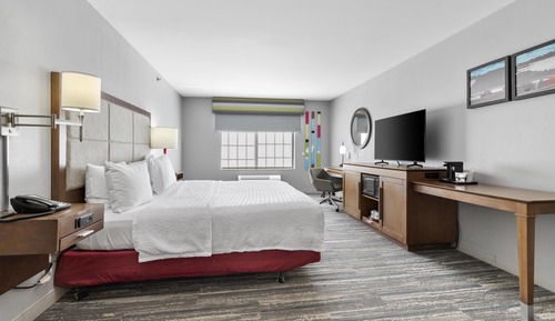 Room, 1 King Bed