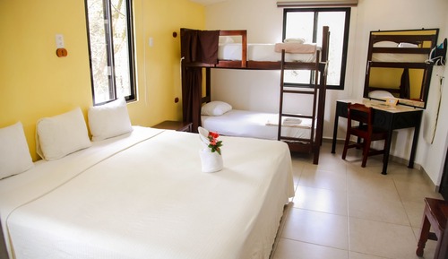 Standard Room, 1 Bedroom, Non Smoking