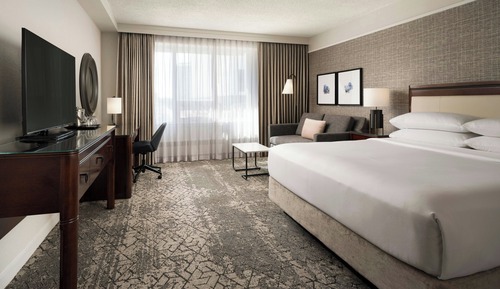 Room, 1 King Bed with Sofa bed