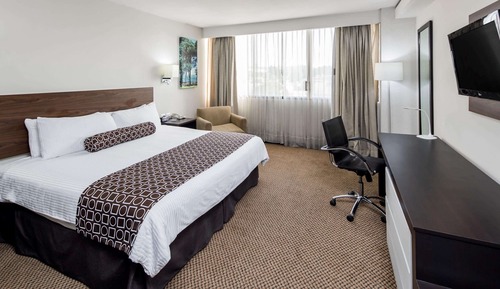 Deluxe Room, 1 King Bed, Non Smoking