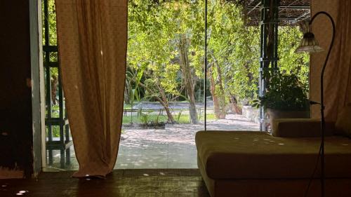 Double Room with Terrace