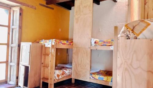 Bed in 8-Bed Dormitory Room