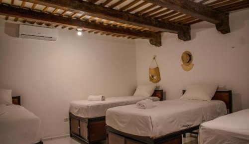 Single Bed in Mixed Dormitory Room