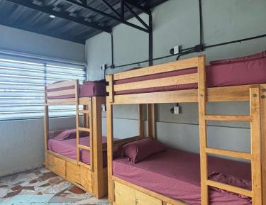 8-Bed Mixed Dormitory Room