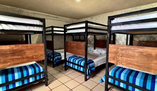 Bed in 8-Bed Mixed Dormitory Room