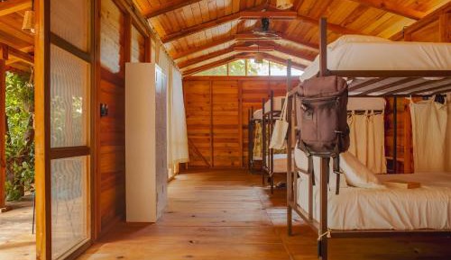 Bed in 8-Bed Mixed Dormitory Room
