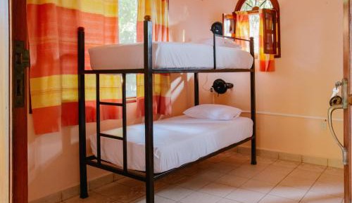 Bed in 4-Bed Mixed Dormitory Room