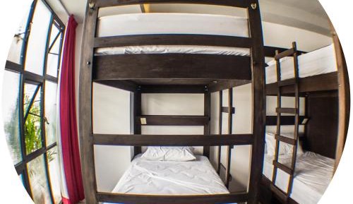 Single Bed in 6-Bed Dormitory Room - Zapata