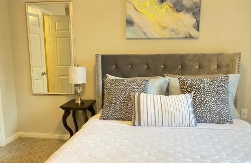 Texas Medical Center Apartment | Modern Apartment in Downton Houston