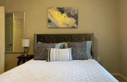 Texas Medical Center Apartment | Modern Apartment in Downton Houston