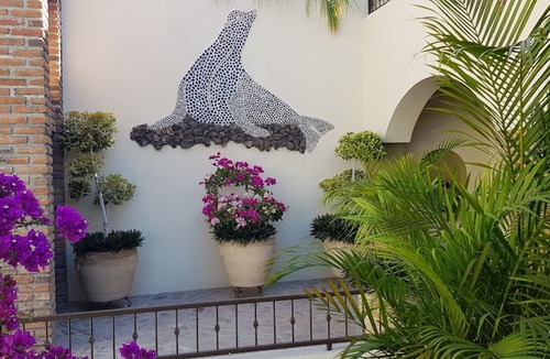 Esterito Hotel | Posada de las Flores La Paz