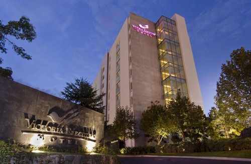 Chapalita Hotel | Victoria Ejecutivo